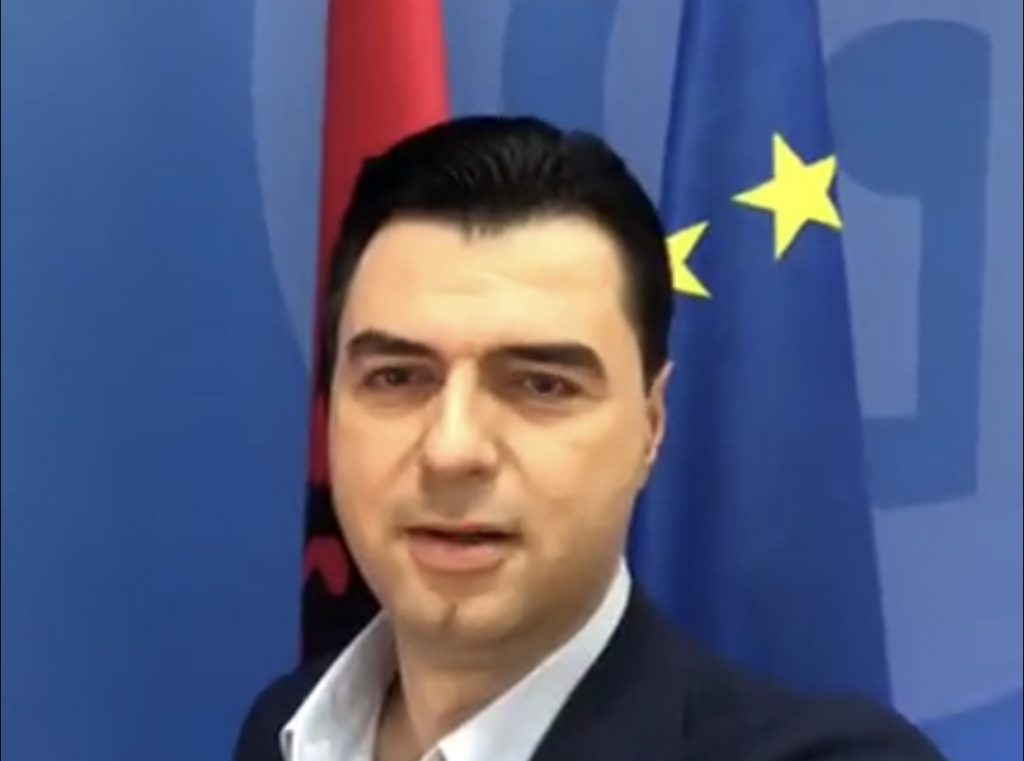 Basha u bën thirrje shqiptarëve në BE :Të votojnë të djathtën