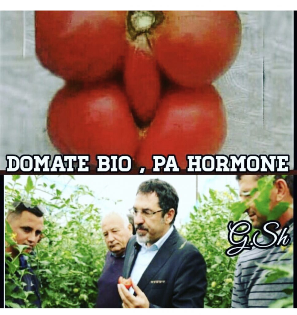 Gojët e ministrave si laboratorë provash!