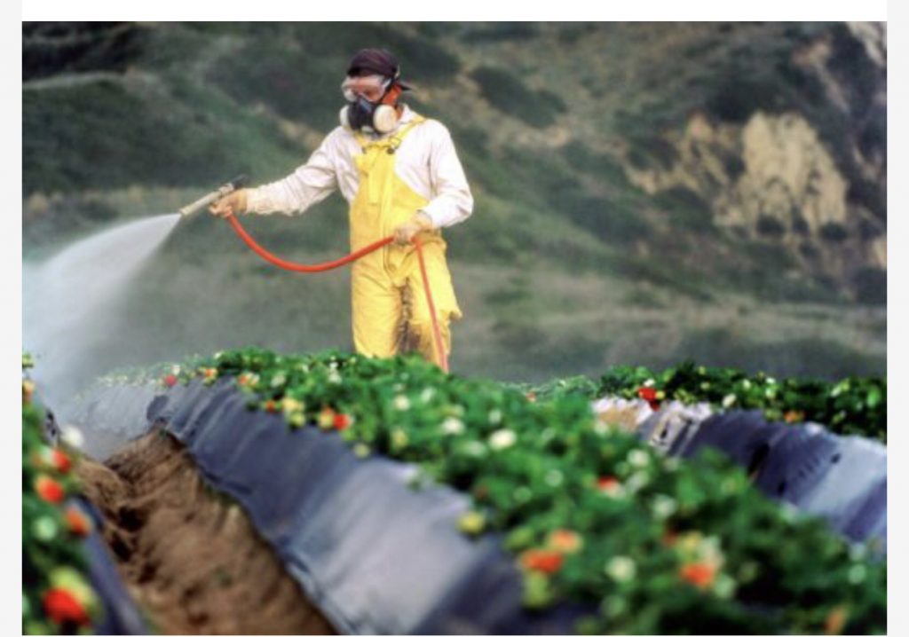 Alarmi/ Në Shqipëri kanë hyrë pesticide që janë të ndaluara nga BE