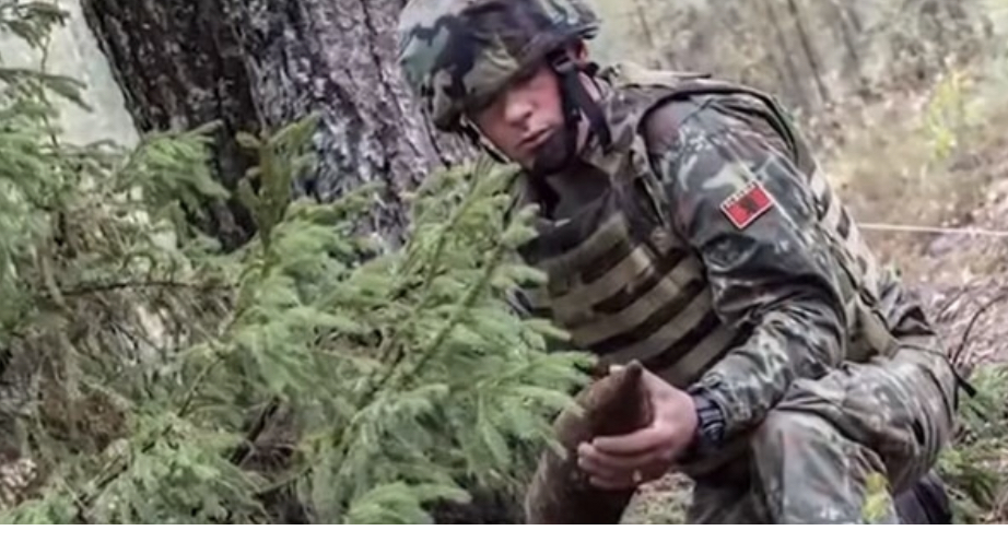 Shifra, sa efektivë të FA janë të angazhuar dhe vendet ku shërbejnë