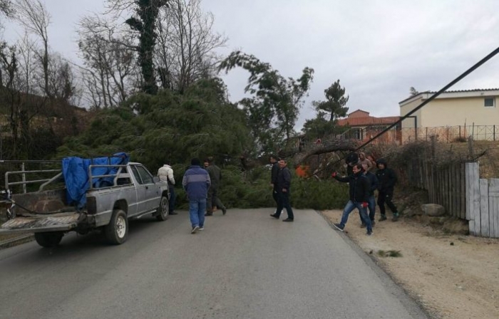 MOTI I KEQ NË VLORË, PEMA RRËZOHET MBI NJË MAKINË