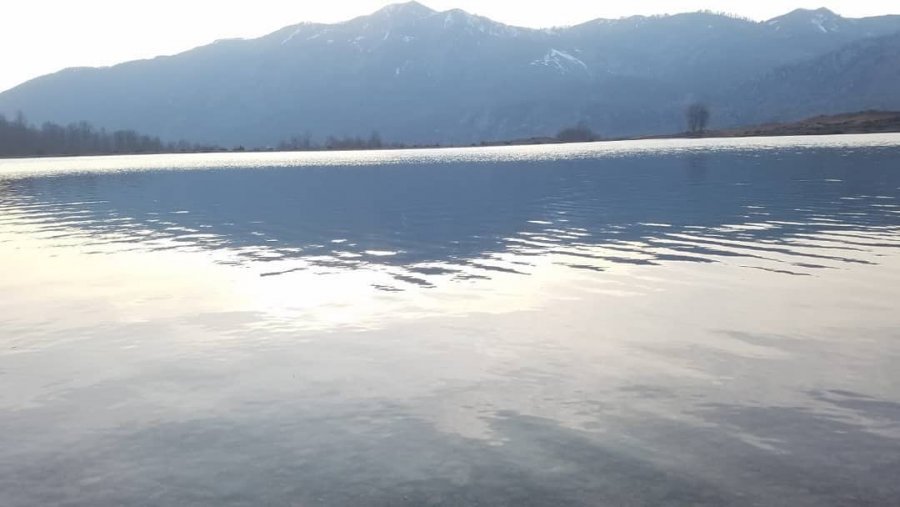 Librazhd, turistët tmerrohen: gjejnë trupin e të mbyturit në liqenin e Fushë Studënit
