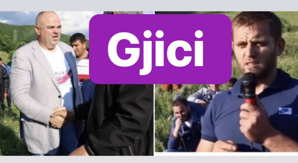 I riu demokrat, mbeshtes Safet Gjicin