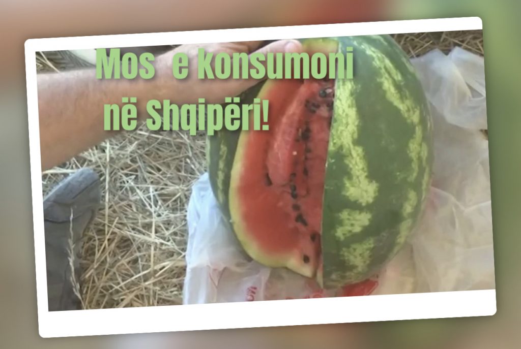 Shalqini dhe pjepri, mr  kimikate të rrezikshme për konsumatorin!