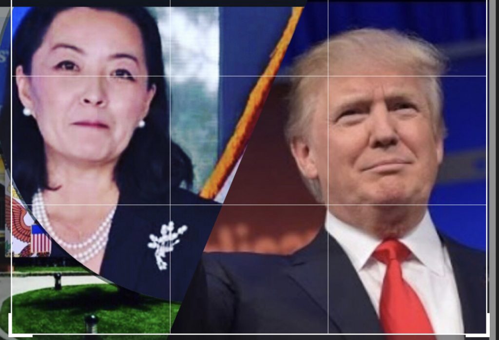 CV e Yuri Kim : Unë do luaj muzikën e presidenti i zgjedhur nga populli amerikan