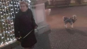 E moshuara humb jetën kur gjen qenin e saj të ngordhur