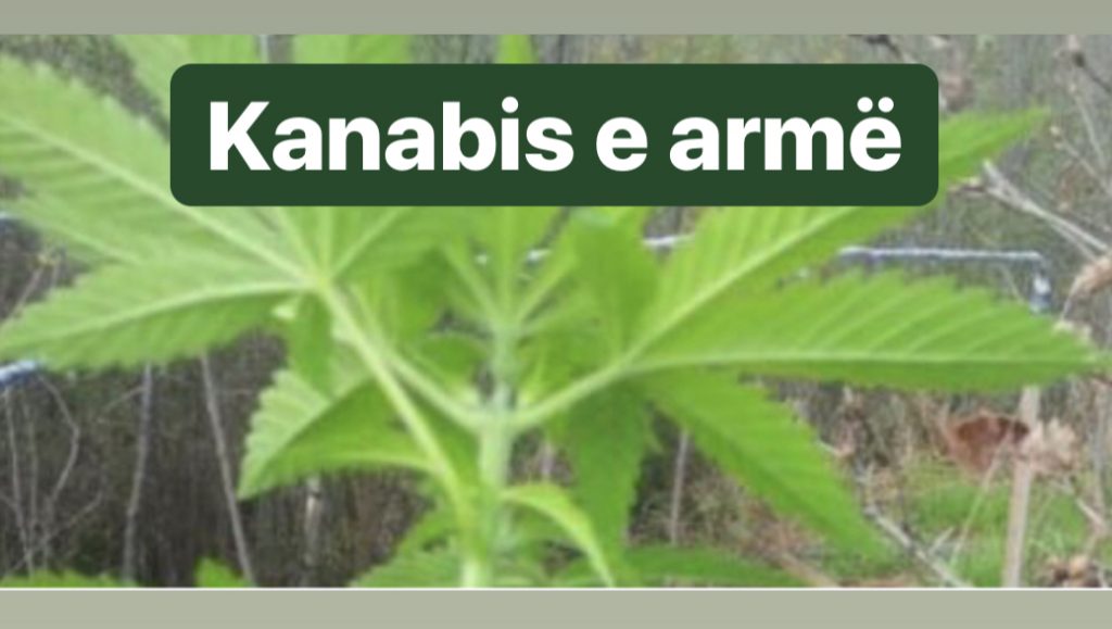 “Ndëshkimi” çon në pranga nëntë persona, mes tyre një efektiv policie