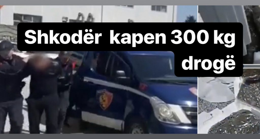 Shkodër/ Sekuestrohen 300 kg drogë, në pranga pesë persona