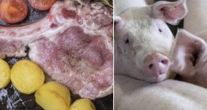 Gjermanët hanë shumë mish  dhe e duan lirë