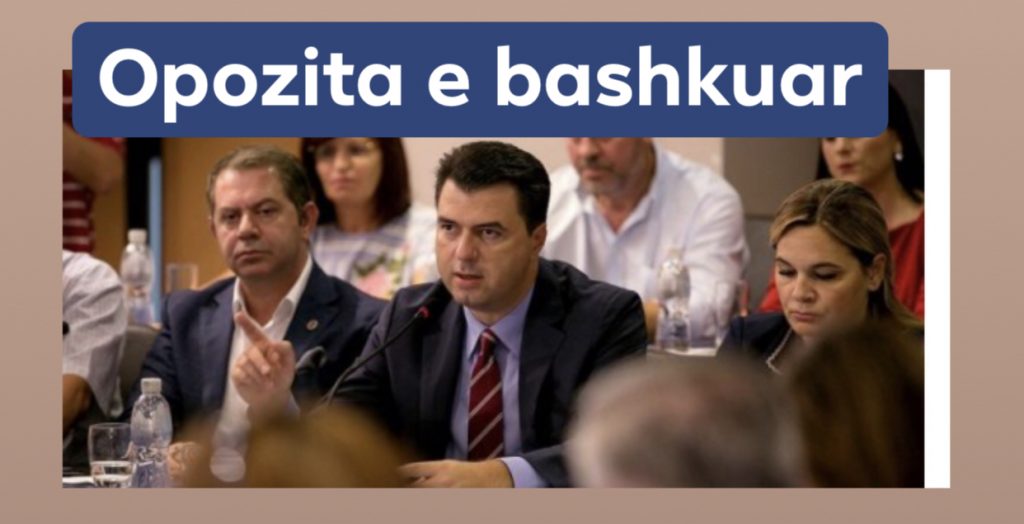 Vasili “shuan” dyshimet: Të bashkuar, e vetmja garanci për daljen nga kriza