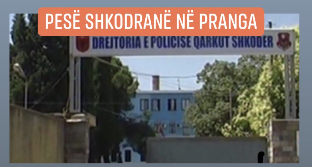 Grude/I  premtuan ndihmë emigrantit, por i futën në pyll dhe i rrahën