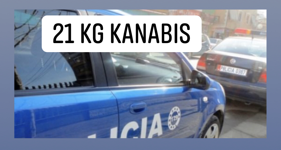 Policia aksion në banesat në Krujë, gjen 21 kg kanabis