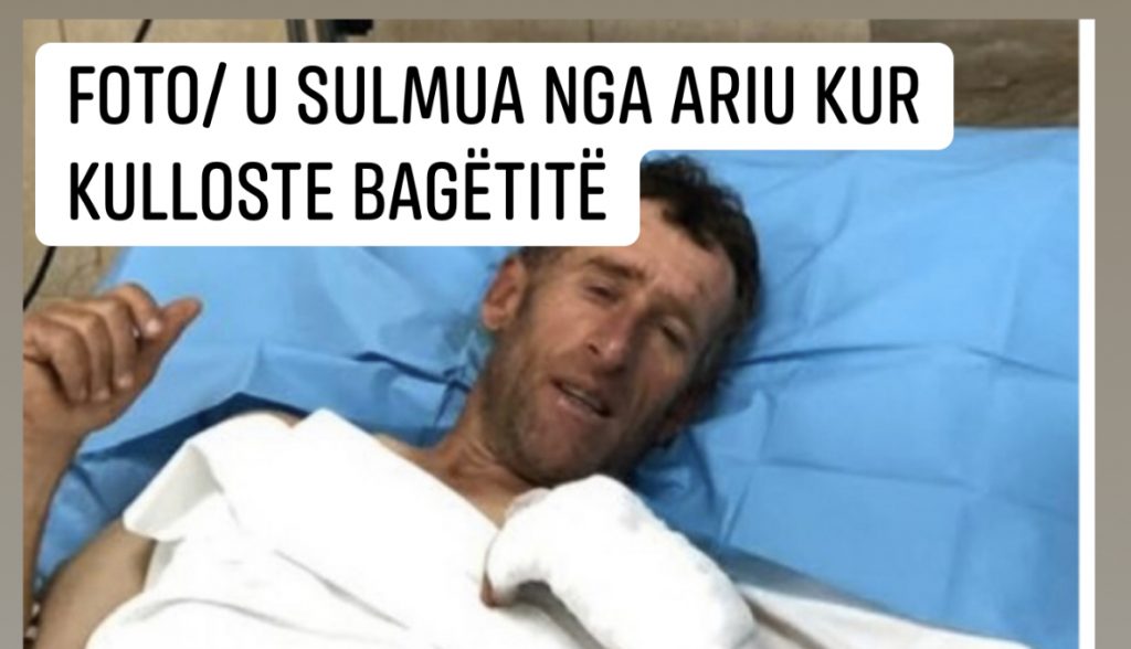 Plagë në kokë, shpatull e këmbë. Kreu i bashkisë: Gjallica, plot me kafshë të egra