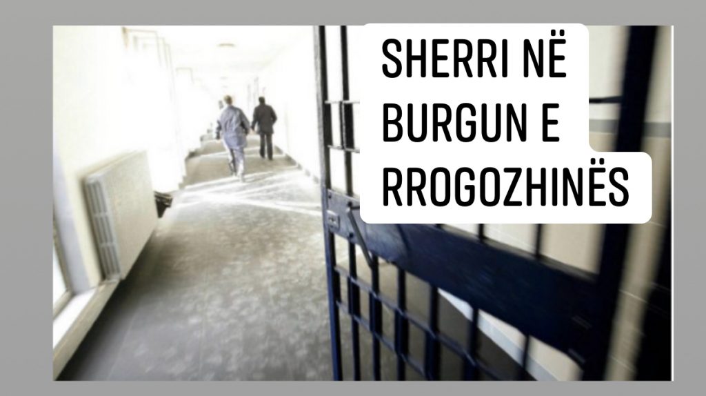 Kush është 23-vjeçari që sulmoi, i arrestuar në 2015