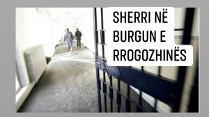 Kush është 23-vjeçari që sulmoi, i arrestuar në 2015