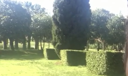 Shtyhet gjyqi, Dekani Dushku : Kopshti Botanik s’është park, por qendër kërkimore!