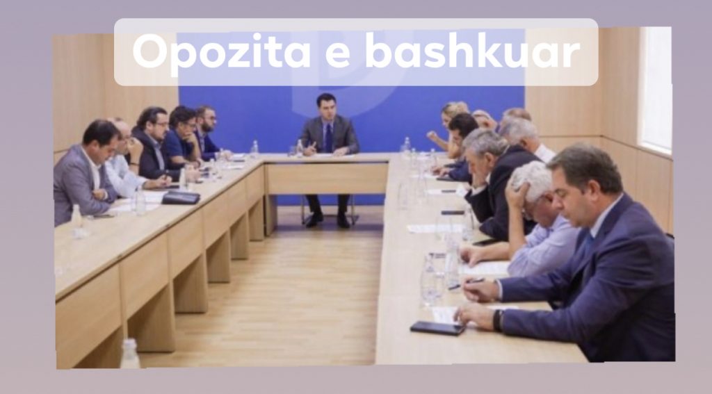 Plani  me 5 pika që Shqipëria të dalë nga kjo krizë  politike