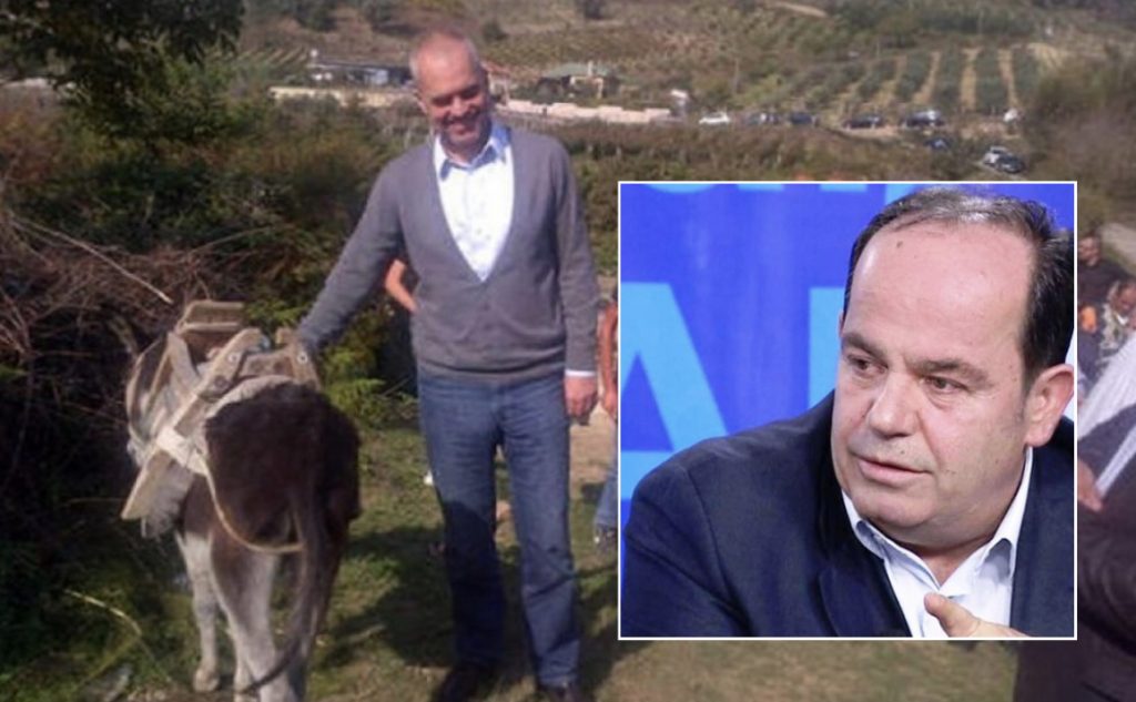 Po na shalojnë, sepse janë bashkë