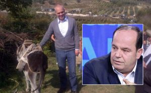 Po na shalojnë, sepse janë bashkë