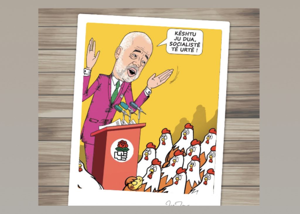 Gjeli i kotecit