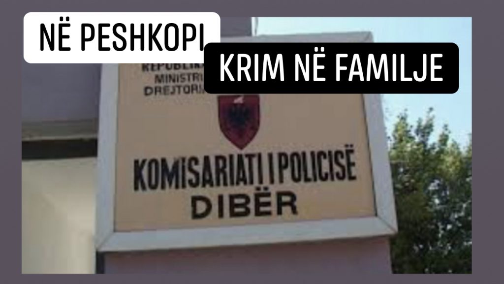 Xhaxhai qëllon me thikë nipin