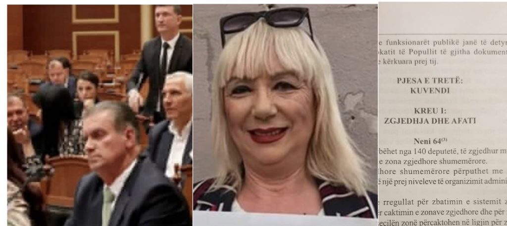 Aktivistja e njohur: Opozita të padisë në Gjykatën Kushtetuese Kuvendin