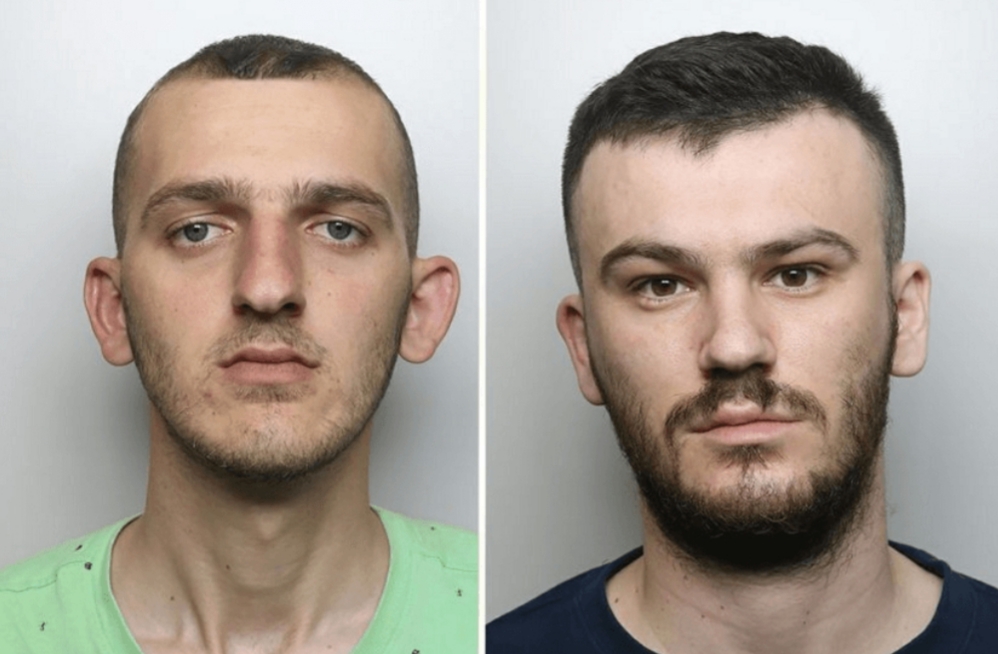 Arrestohen dy të rinjtë shqiptarë, e kthyen shtëpinë në fermë kanabisi