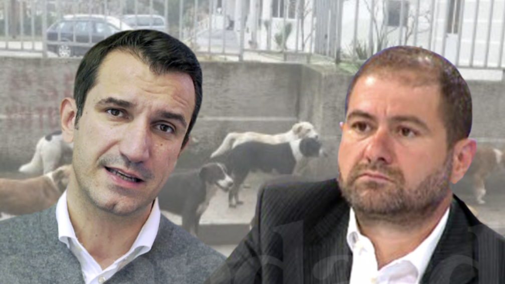 Erjon Velija, si qeni i Kasharit