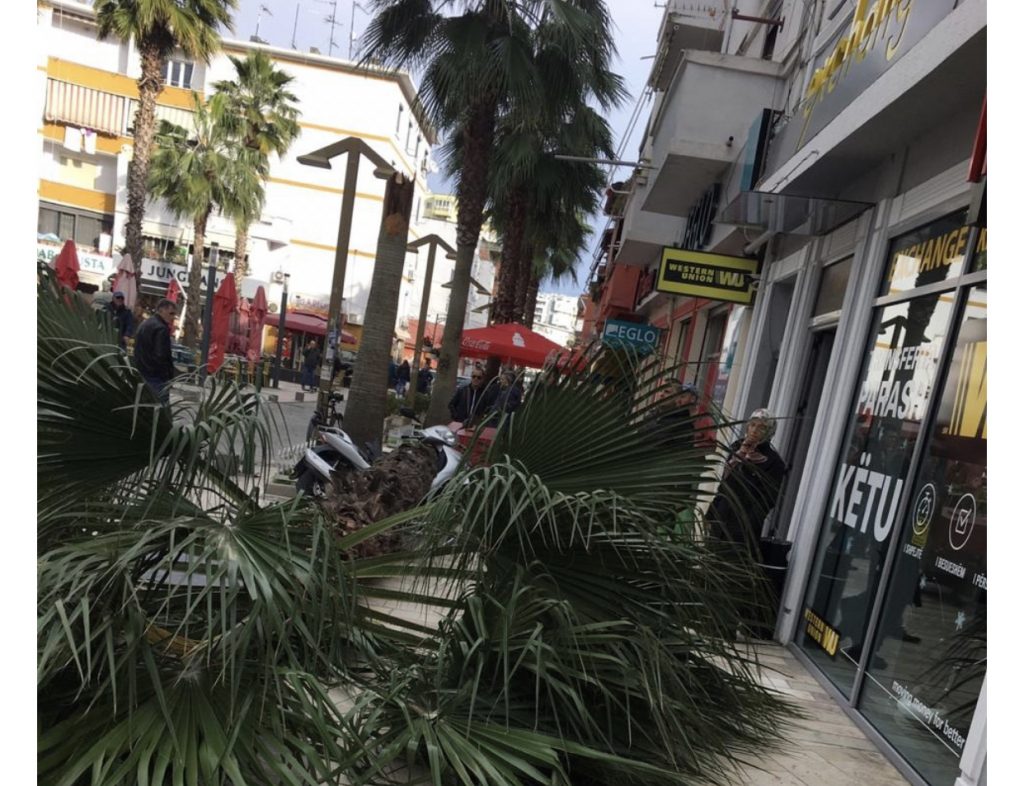 Palma zë poshtë kalimtarët, dy të plagosur. Ja momentet e filmuara nga kamerat