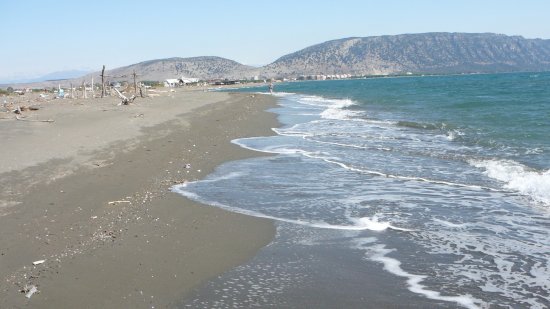 Arrestohen 3 punonjës të administratës shtetërore, ja çfarë u zbulua pas kontrolleve në Velipojë