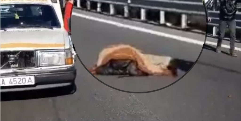 Përplaset nga makina, humb jetën këmbësori