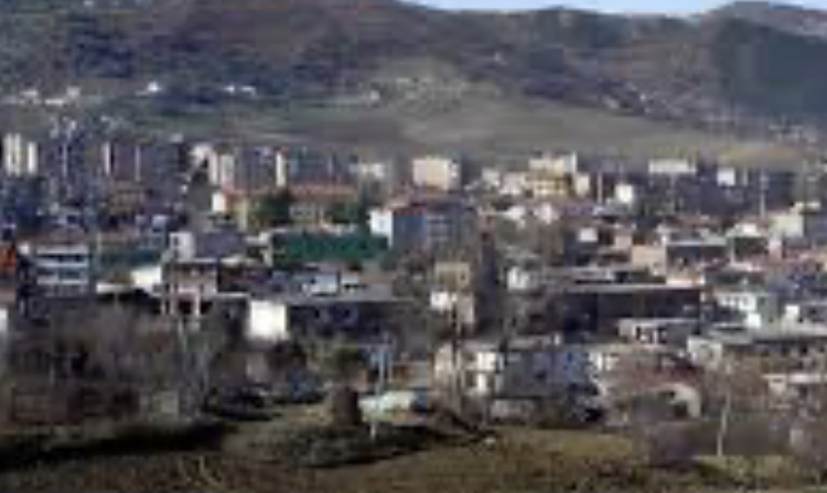 Ngjarje e rëndë në Mallakastër, grabitësit rrëmbejnë gruan dhe më pas e vrasin