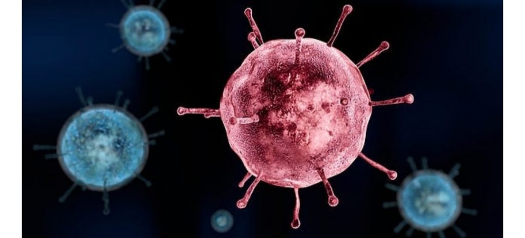 Pas koronavirusit, zbulohet një tjetër virus i rrezikshëm