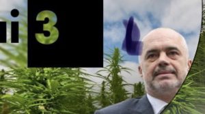 Emisioni i RAI 3: Në Shqipëri nuk ka vullnet politik për të luftuar narkotrafikun