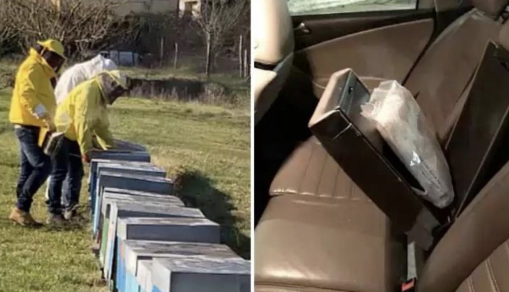 Itali, “Mjalti i Bardhë” çon në pranga 11 persona