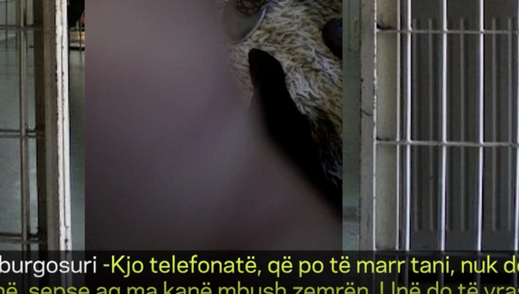 Mami, po të marr tani, nuk të marr më