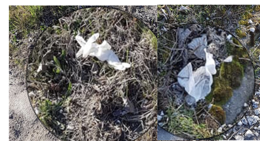 Në Pogradec maska e doreza nëpër rrugë …