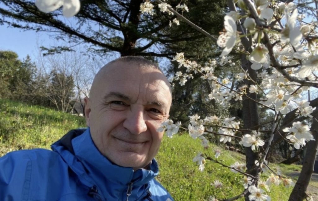 Meta foto pranvere: Lulet po shtohen, Pranvera nuk ndalet