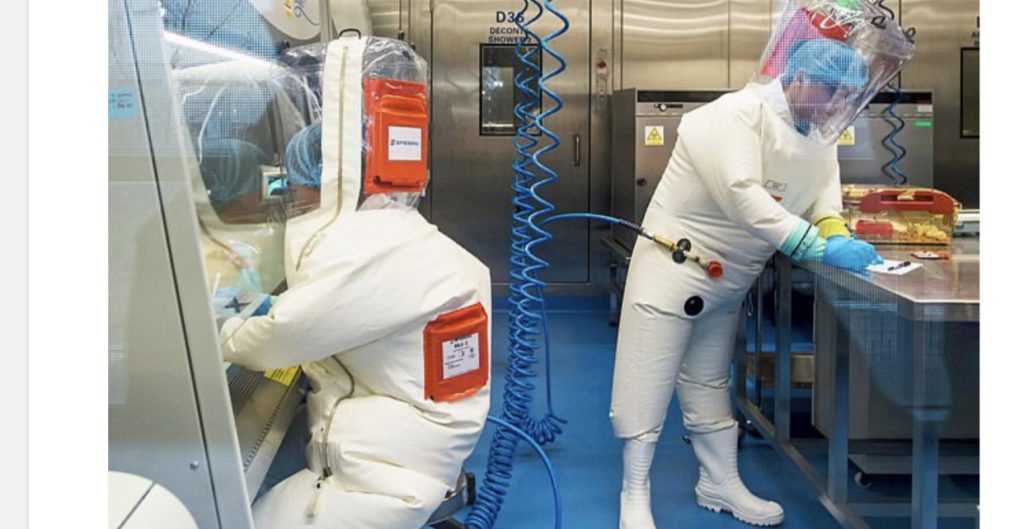 Laboratori kinez, ku kryheshin eksperimente me lakuriqët e shpellave për…