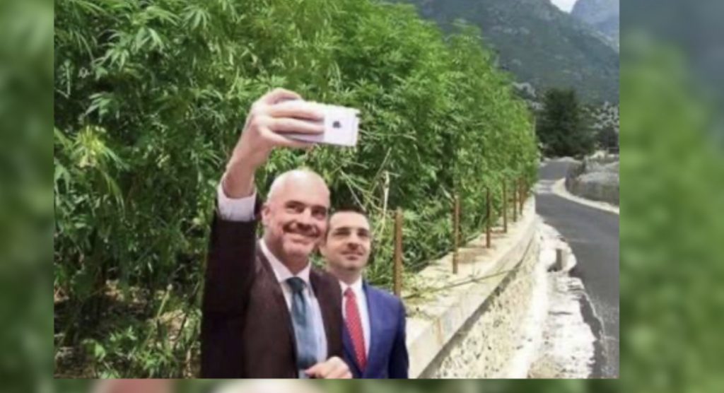 Kanabis dhe amnisti për paratë, dy planet e reja për ekonominë