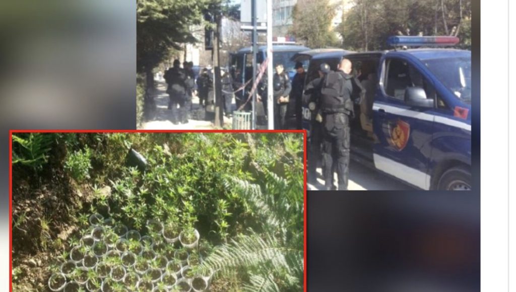 Operacioni antidrogë në pesë qytete, arrestohen 19 persona, pezullohet nga detyra efektivi.
