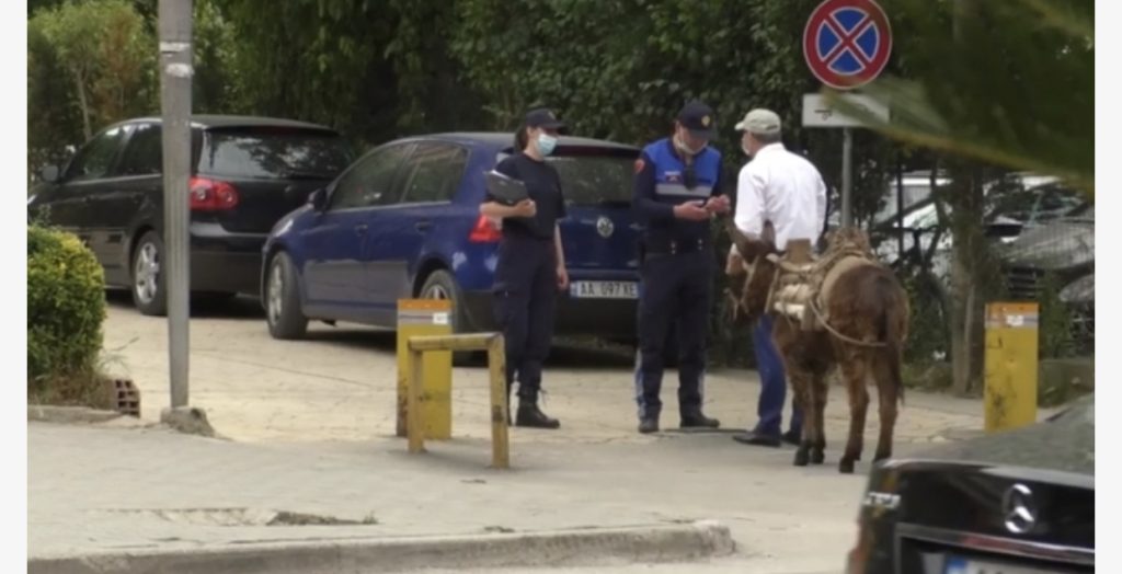 Ismet Drishti dhe GOMARI i tij dalin xhiro nëpër Tiranë, përplasen me policinë te liqeni: E kam kafshë shoqërimi…