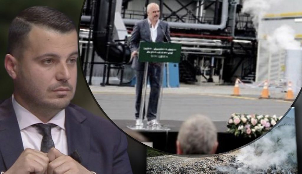 Monopoli i plehrave, kështu punon mafia