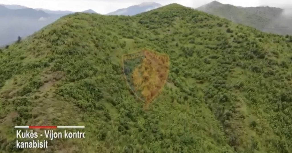 Operacion nga ajri e toka, çfarë filmuan dronët e policisë në zonat e thella pyjore të Kukësit