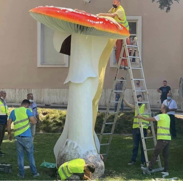 Rama rikthen KËRPUDHËN e famshme para kryeministrisë: 1 metër më e lartë se ç’ishte