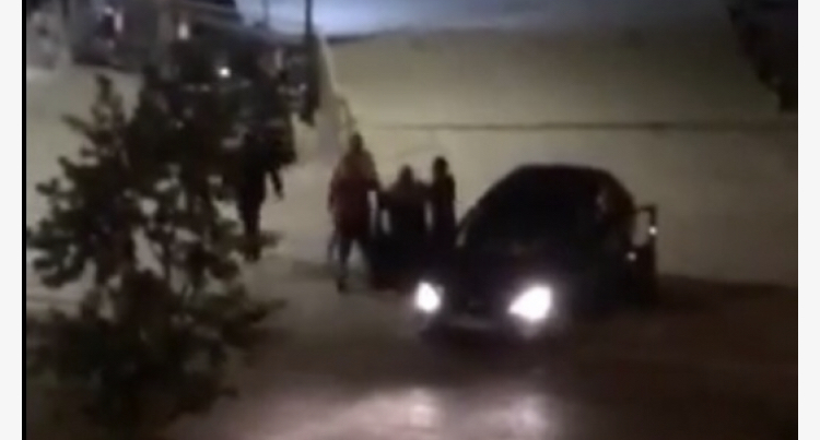 Të rinjtë zbresin nga makina dhe rrihen me njëri-tjetrin te Liqeni