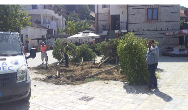 Skandaloze, Bashkia Pogradec shkul pemet per te vene stola