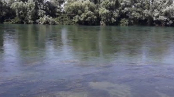 TRAGJIKE në Shkodër, mbyten 2 të rinj në lumin e Bunës