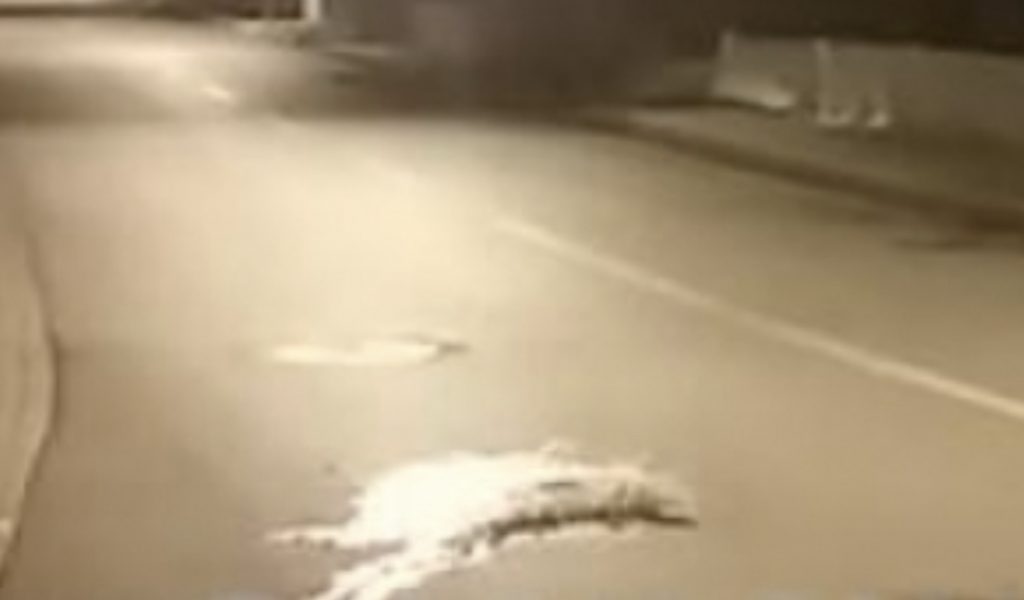 Elbasan, makina përplas për vdekje këmbësorin, shoferi largohet nga vendngjarja
