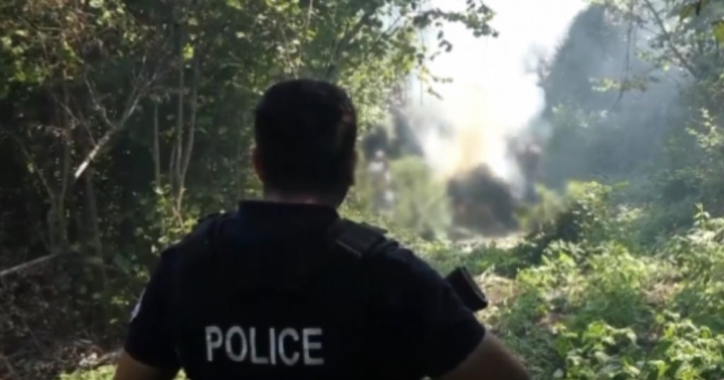 Tentuan të mbushin fshatrat me kanabis, arrestohen 4 persona në Kurbin